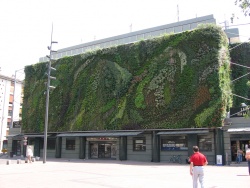 Item-Mur végétal 250px-Mur vegetal avignon.jpg