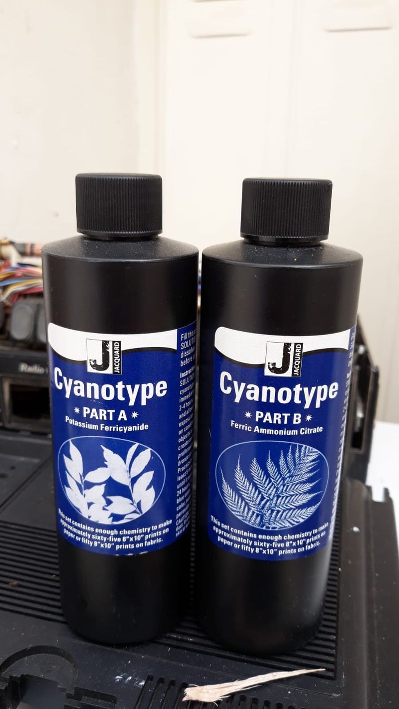 Cyanotype - La photo qui fait bronzette 51e5eb25-e0bc-4846-8c01-58aae6458322.jpg