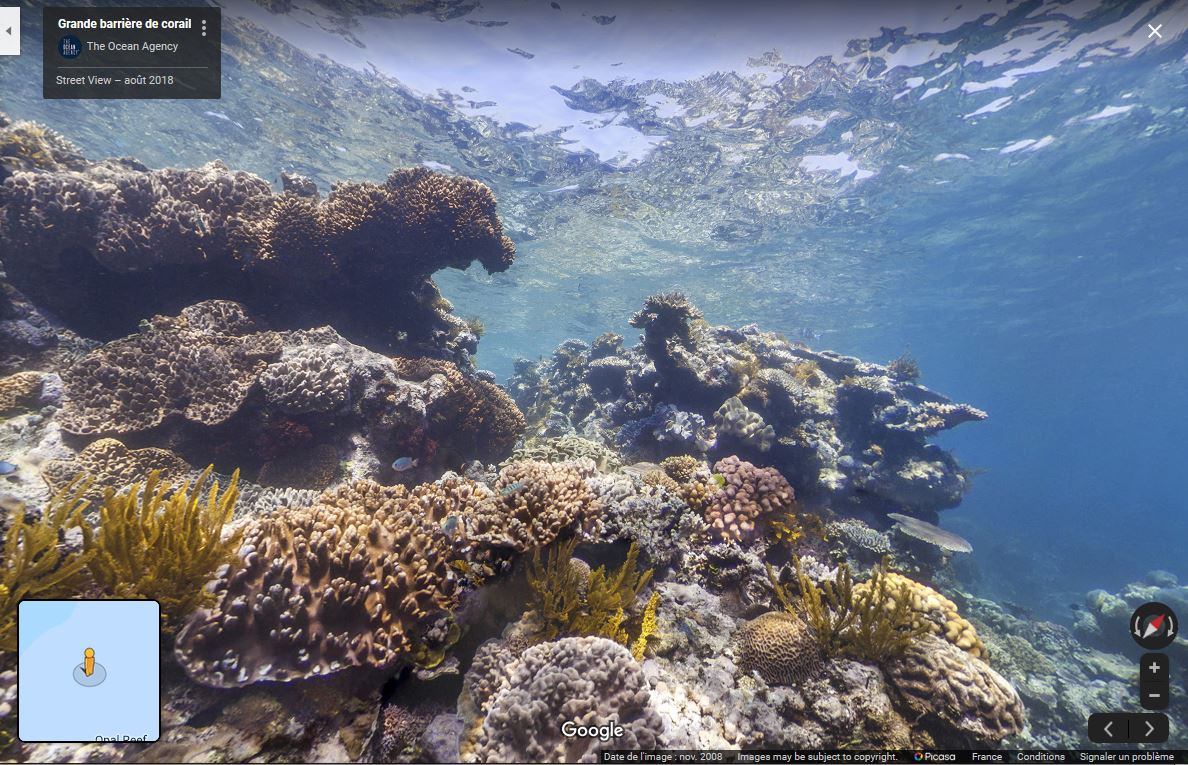 Group-Richessses de l oc an Capture10.JPG