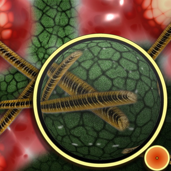 Group-Le monde de l invisible bacteria-108895 960 720.jpg