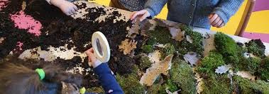 Observer et jouer avec un microscope USB images.jpeg