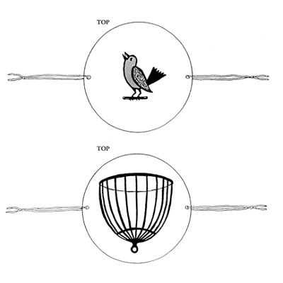 Thaumatrope Thaumatrope.png