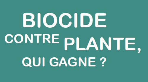 Plantes et biocides CaptureTitreFicheBiocidePlante.JPG