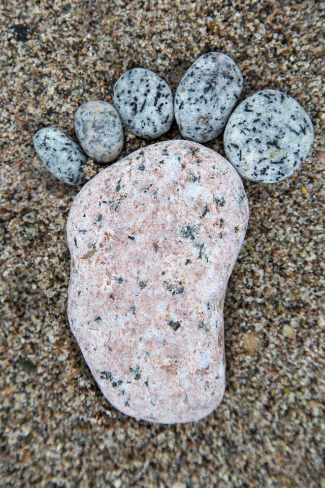 Group-S adapter au changement global en bord de mer footprint-1601316359pPi-PublicDomain-red.jpg