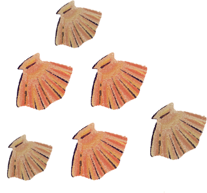 Ressources halieutiques la colonne d eau COQUILLE ST J.png