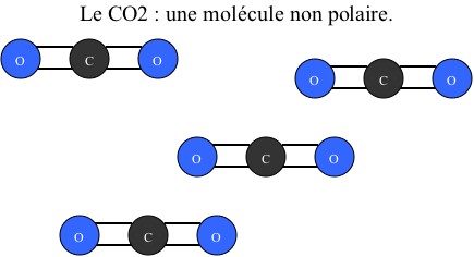 CO2 Non Polaire