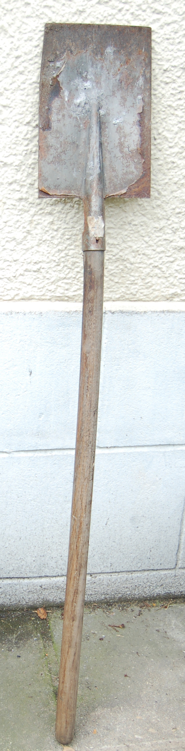 Observer la faune d un bloc de sol B che.jpg