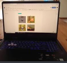 D couvrir une esp ce menac e - le panda tape 4.JPG