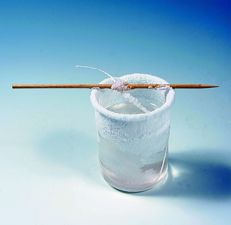 Cristaux de sel exp .jpg