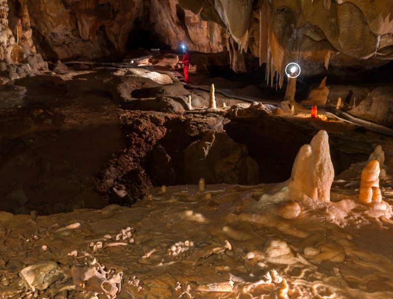 Group-Grotte Chauvet Vue de la salle HILLAIRE.png