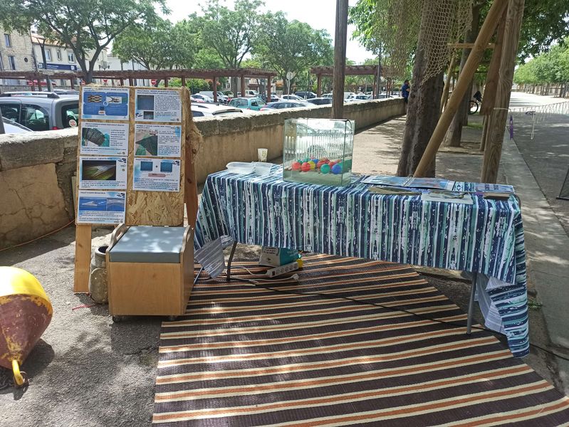 Fichier:S lectivit techniques de p che au chalut - comment p cher uniquement les poissons au taille commercialisable IMG 20240529 122636.jpg