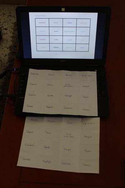 Fichier:D couvrir les habitants du sol IMG 0002.JPG