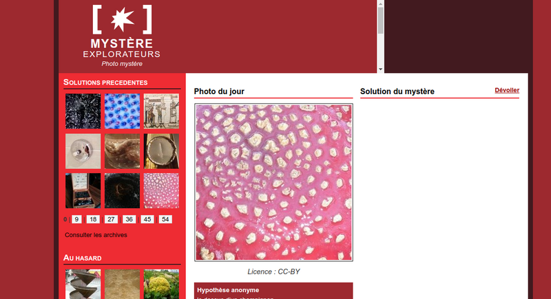 Observer et jouer avec un microscope USB Capture d cran du 2022-09-29 14-59-21.png