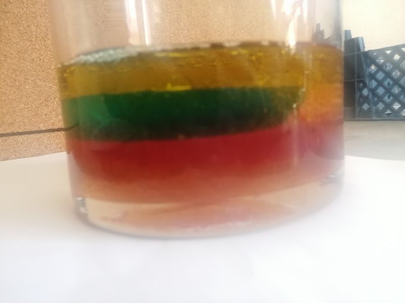 Tout est question de densit IMG 20210302 142128 resized 20210309 085123400.jpg