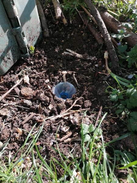 Fichier:Pi ger la faune du sol IMG 20200421 170304.jpg