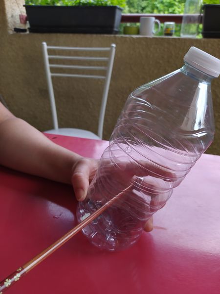 Fichier:Sang monte la t te IMG 20200530 155740.jpg