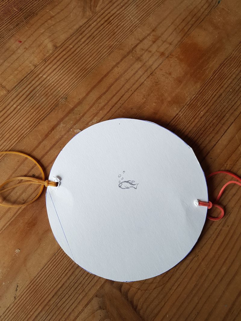 Thaumatrope poisson.jpg