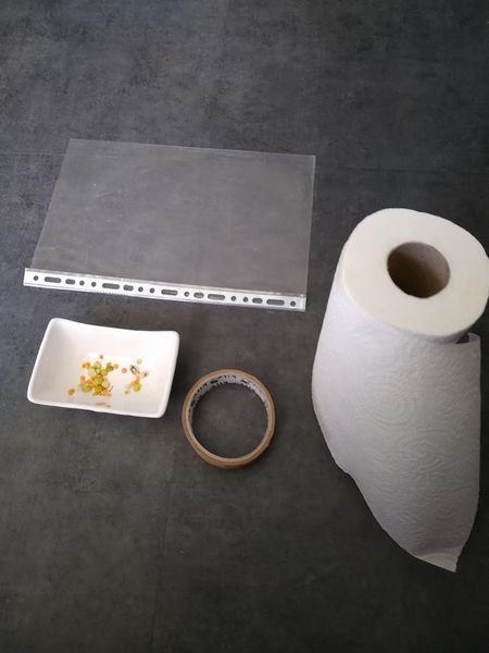 Fichier:Mini-serre de fen tre IMG 20200415 135745478.jpg