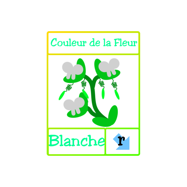 Fichier:Les petits poids de Mendel PCr.png