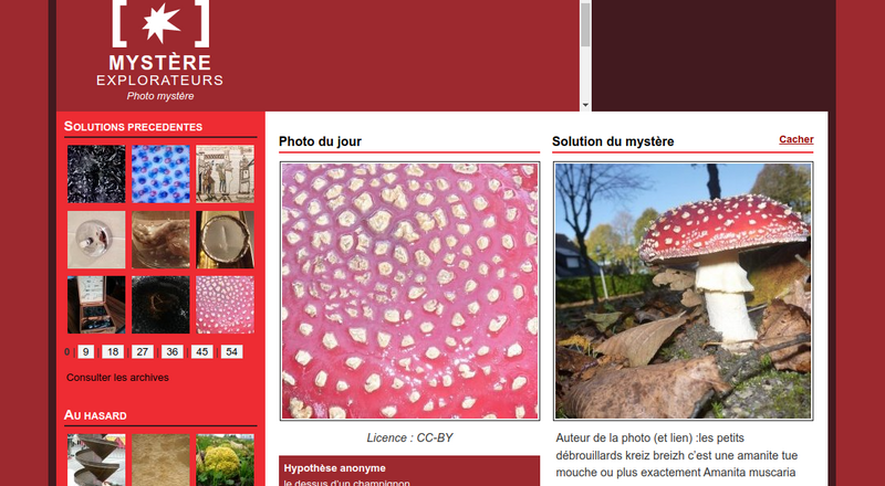 Observer et jouer avec un microscope USB Capture d cran du 2022-09-29 14-59-40.png