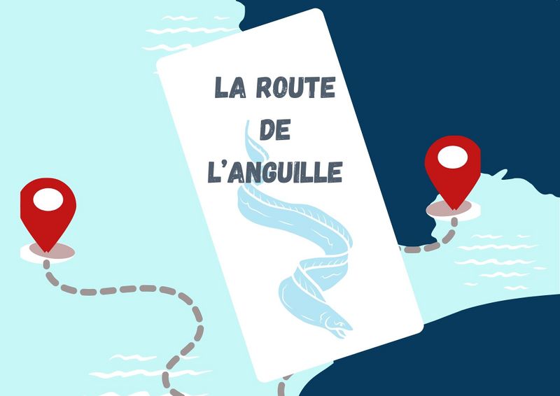 Routes et migrations 1.jpg