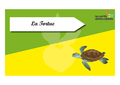 Time s up des esp ces du littoral La tortue.png