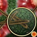 Group-Le monde de l invisible bacteria-108895 960 720.jpg