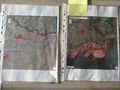 Evolution du trait de c te Comparaison zones avant-apres Brest.JPG