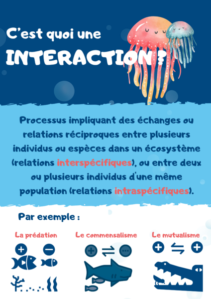 Fichier:Comprendre une interaction et simuler la cha ne alimentaire marine Fiches synth ses CYCLE BIODIV.png