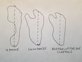 Marche comme laustralopitheque Schema pieds laetoli.jpg