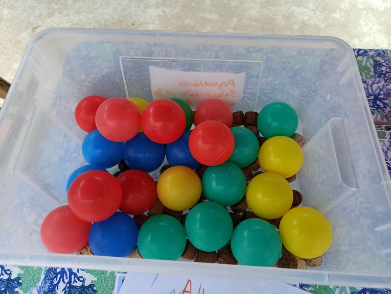 Fichier:S lectivit techniques de p che au chalut - comment p cher uniquement les poissons au taille commercialisable IMG 20240615 153739.jpg