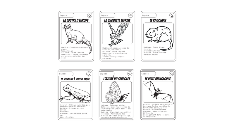 Fichier:Jeu bioversant Jeu bassin versant esp ces.png