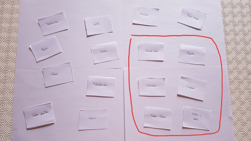 Concurrents ou associ s dans le milieu marin 20200422 163102.jpg