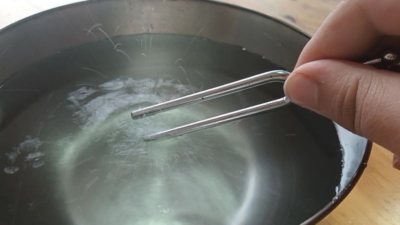 Diapason dans l eau VideoCapture 20240411-110441.jpg