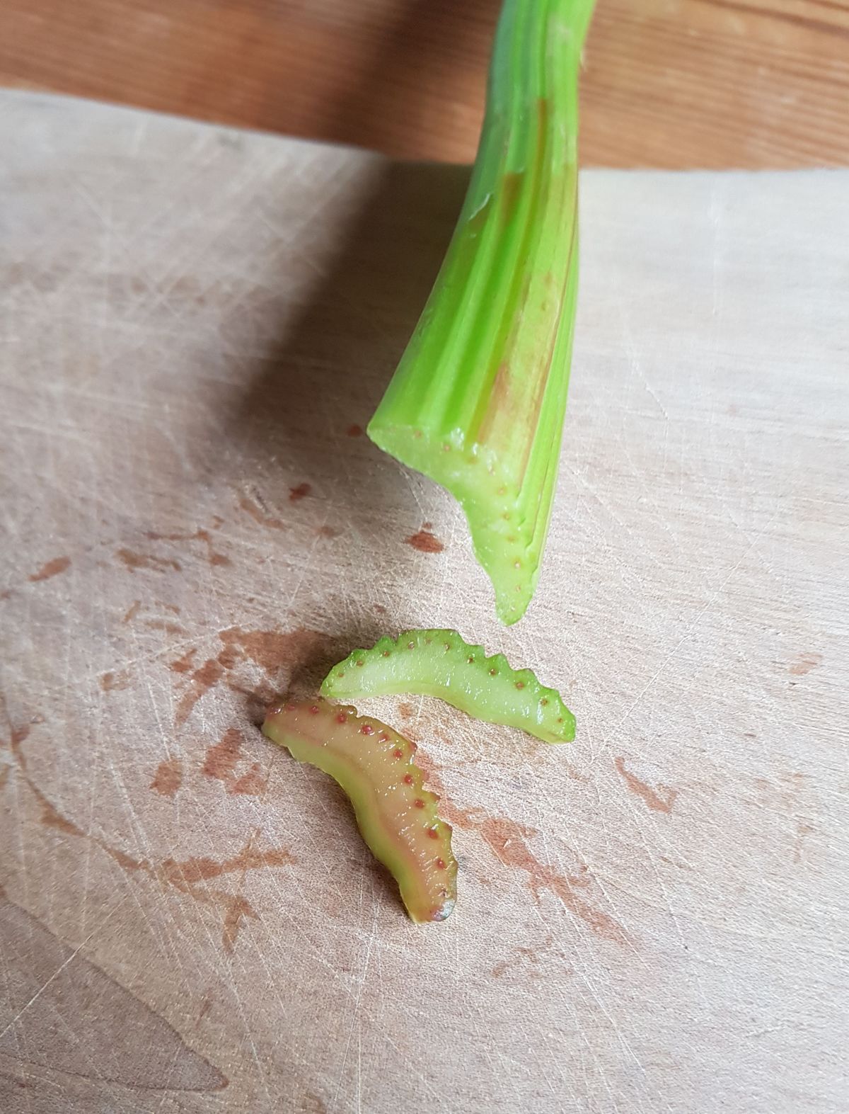 Capillarité dans le céleri — Wikidebrouillard