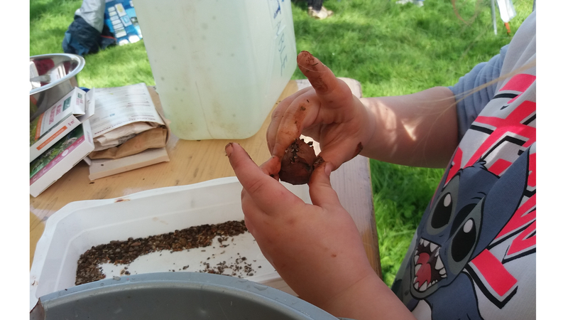 Fichier:Bombes a graines.png