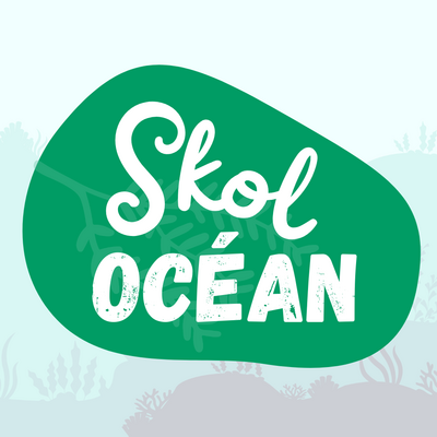 Decouvrir les algues avec Skol Ocean