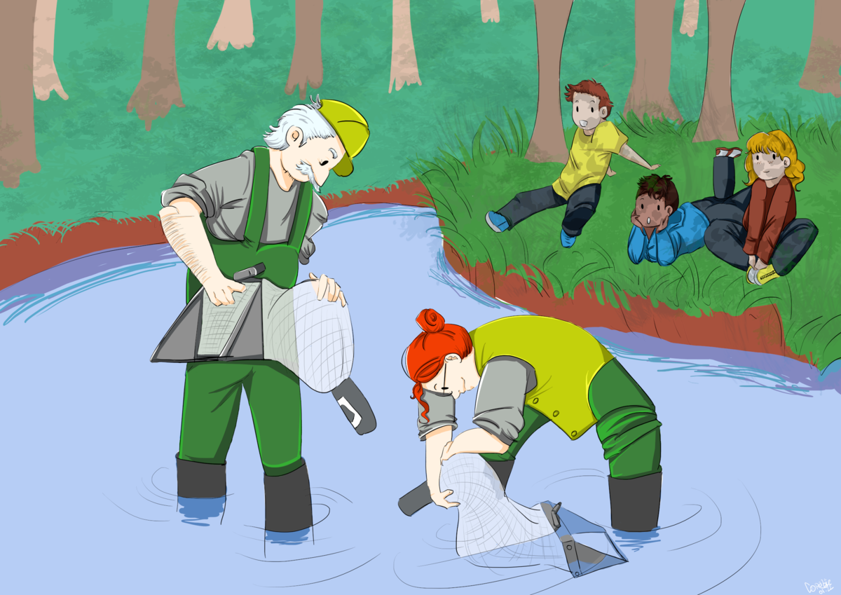 Détermination des invertébrés d'eau douce — Wikidebrouillard