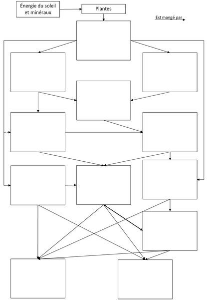 Fichier:Concurrents ou associ s dans le sol Concurrents ou associ s dans le sol - R seau trophique - compl ter.jpg