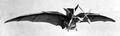 Group-Pourquoi les avions volent-ils Avion histoire Ader.png