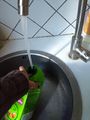Jardini re fleurs en brique de jus IMG 20200414 140427971.jpg
