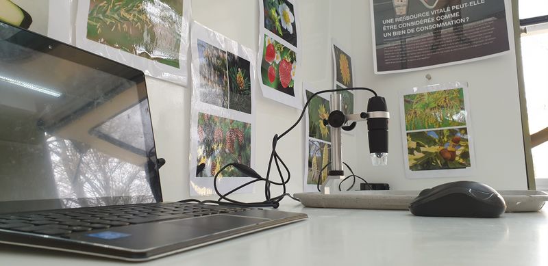 Observer et jouer avec un microscope USB 20220316 095844.jpg