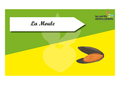 Time s up des esp ces du littoral La moule.png