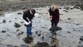 S initier aux sciences participatives sur le littoral SortieEstran-5red.JPG