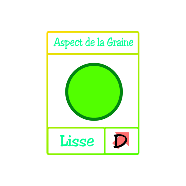 Fichier:Les petits poids de Mendel GAD.png