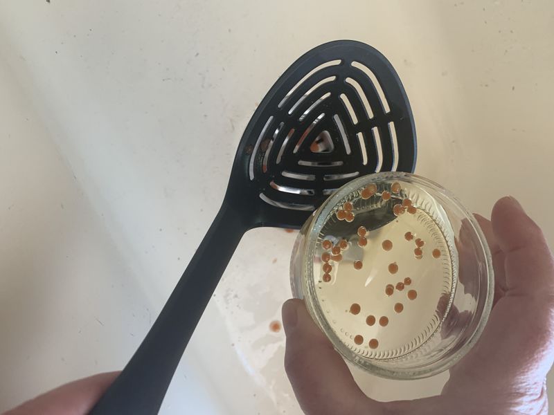 Caviar de ketchup image00003.jpeg