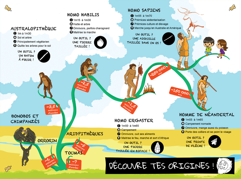 Group-Grotte Chauvet Frise chronologique sur levolution de lhomme.png