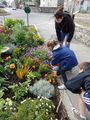 S initier aux sciences participatives la campagne Comptage pollinisateurs-red.JPG