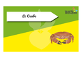Time s up des esp ces du littoral Le crabe.png