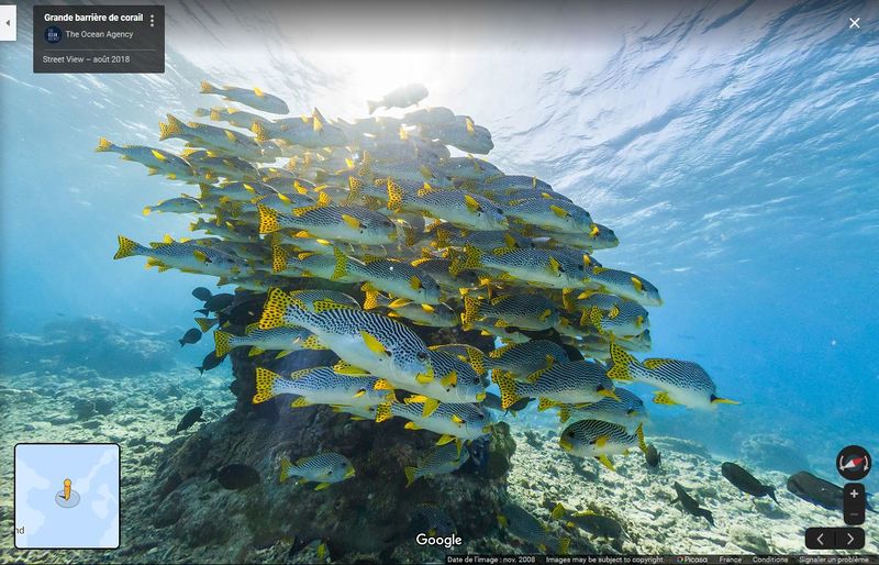 Group-Richessses de locean Capture3.jpg